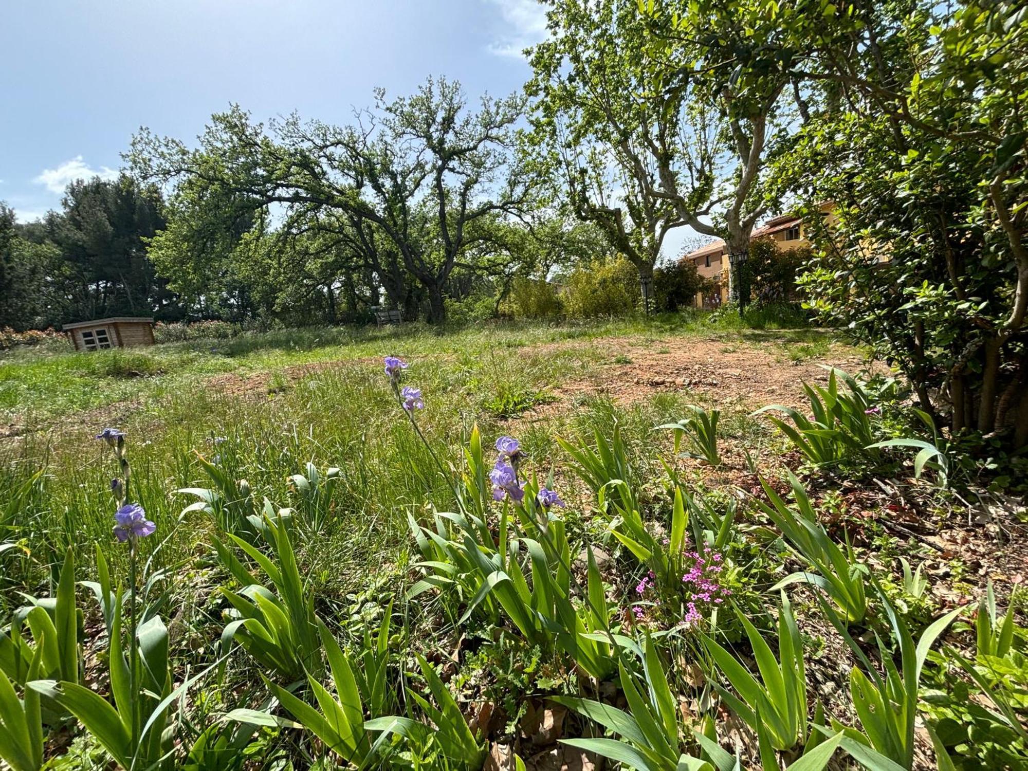 Havre De Paix Au Sein D'Un T3 D'Une Bastide Aixoise Aix-en-Provence Exterior foto